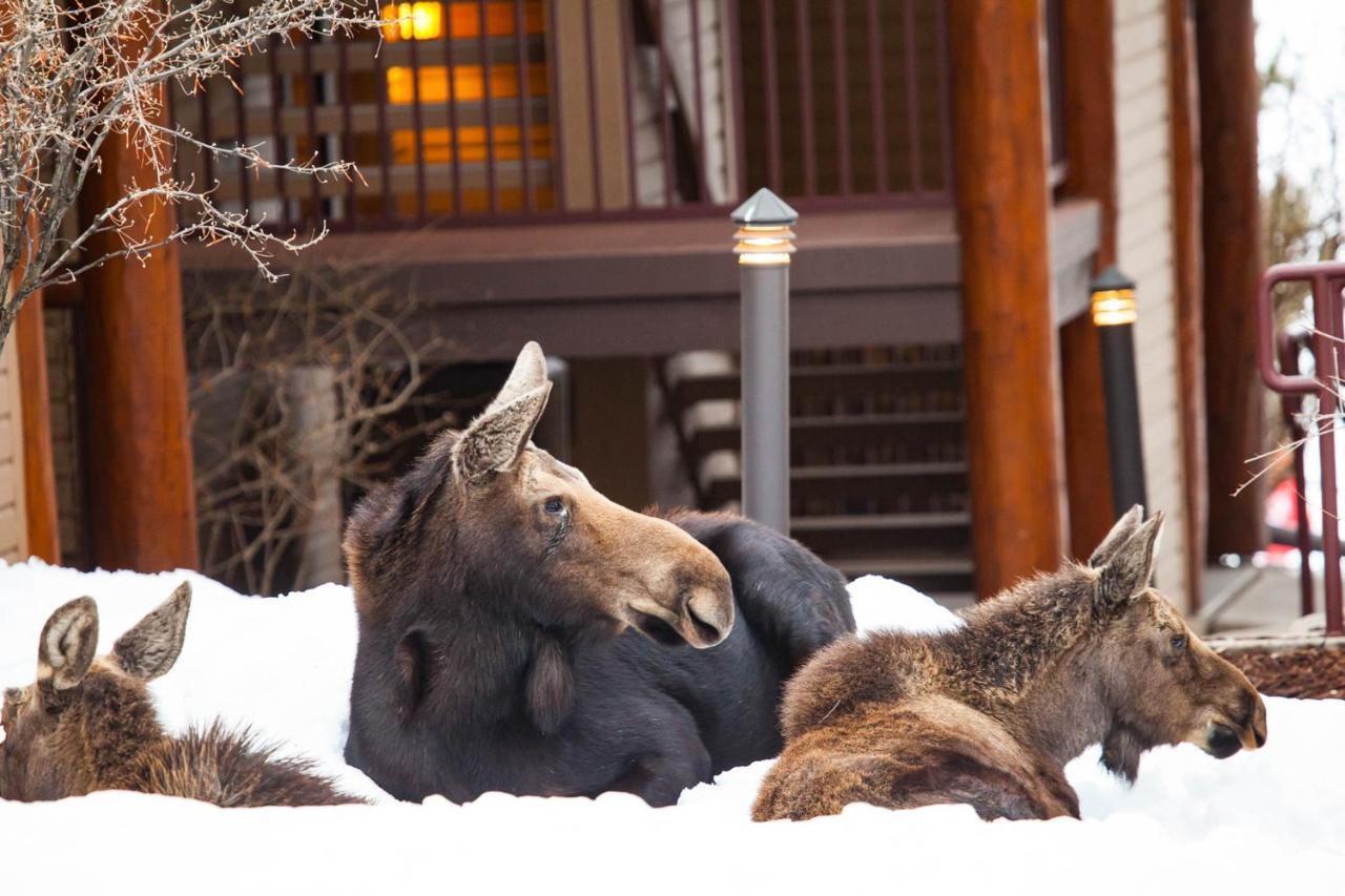 Antlers Villa Steamboat Springs Ngoại thất bức ảnh